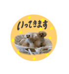 Choco♡Milk（個別スタンプ：6）