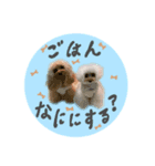Choco♡Milk（個別スタンプ：8）