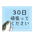 30日挑戦ぶり（チャレンジぶり）（個別スタンプ：35）