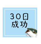 30日挑戦ぶり（チャレンジぶり）（個別スタンプ：39）