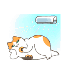 ねこちゃんと夏（個別スタンプ：28）