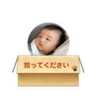 毎日のりくんwithぴろ（個別スタンプ：6）
