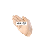 パクドスタンプ2（個別スタンプ：6）