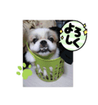 春＆ペキ（個別スタンプ：2）