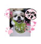 春＆ペキ（個別スタンプ：3）