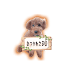 もかちゃんの楽しい日常（個別スタンプ：3）