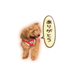 もかちゃんの楽しい日常（個別スタンプ：5）
