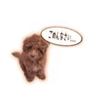 もかちゃんの楽しい日常（個別スタンプ：6）