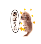 もかちゃんの楽しい日常（個別スタンプ：9）