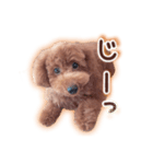 もかちゃんの楽しい日常（個別スタンプ：14）