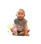 毎日使えるあおのちゃん（個別スタンプ：13）
