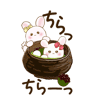【Big】ぽっちゃりウサギ 1『Sweets』（個別スタンプ：10）