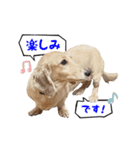 近藤家の愛犬 リル（個別スタンプ：2）