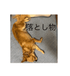 私のために作った（個別スタンプ：22）