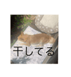 私のために作った（個別スタンプ：23）