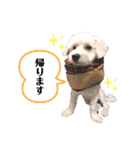 一太郎くん日常で使えるスタンプ（個別スタンプ：4）