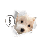 一太郎くん日常で使えるスタンプ（個別スタンプ：18）