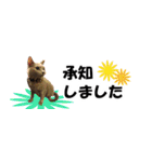 省スペース＆敬語 ねこスタンプ「さくら」（個別スタンプ：7）