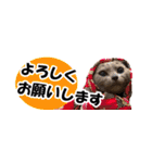省スペース＆敬語 ねこスタンプ「さくら」（個別スタンプ：8）