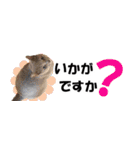 省スペース＆敬語 ねこスタンプ「さくら」（個別スタンプ：32）