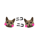 省スペース＆敬語 ねこスタンプ「さくら」（個別スタンプ：33）