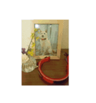 チロルルのスタンプ-没-（個別スタンプ：8）