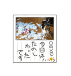 ハーツ保護猫シェルター支援・夏と天気（個別スタンプ：39）