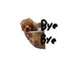 かぞくのLINEstamp（個別スタンプ：4）