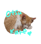 かぞくのLINEstamp（個別スタンプ：7）