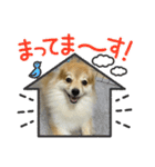 たろろろ（個別スタンプ：1）