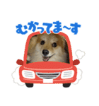 たろろろ（個別スタンプ：7）