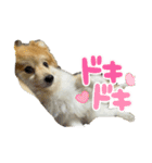 たろろろ（個別スタンプ：8）