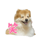 たろろろ（個別スタンプ：10）
