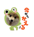 たろろろ（個別スタンプ：15）