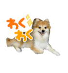たろろろ（個別スタンプ：16）