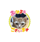 快音とドラミ（個別スタンプ：1）