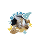 快音とドラミ（個別スタンプ：2）