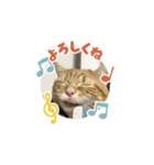 快音とドラミ（個別スタンプ：10）