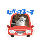 快音とドラミ（個別スタンプ：15）