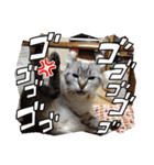 快音とドラミ（個別スタンプ：16）
