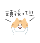 猫のスタンプですよ。（個別スタンプ：11）