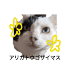 うしのつぶやき（個別スタンプ：7）