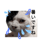 うしのつぶやき（個別スタンプ：17）