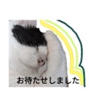 うしのつぶやき（個別スタンプ：26）