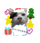 うしのつぶやき（個別スタンプ：37）
