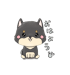 黒柴  いぬだわん（個別スタンプ：1）