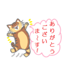 キジトラ猫の家族（個別スタンプ：9）