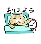 カワイイくるみねこ（個別スタンプ：7）