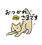 カワイイくるみねこ（個別スタンプ：10）