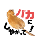 らぶぞぅ27（個別スタンプ：6）
